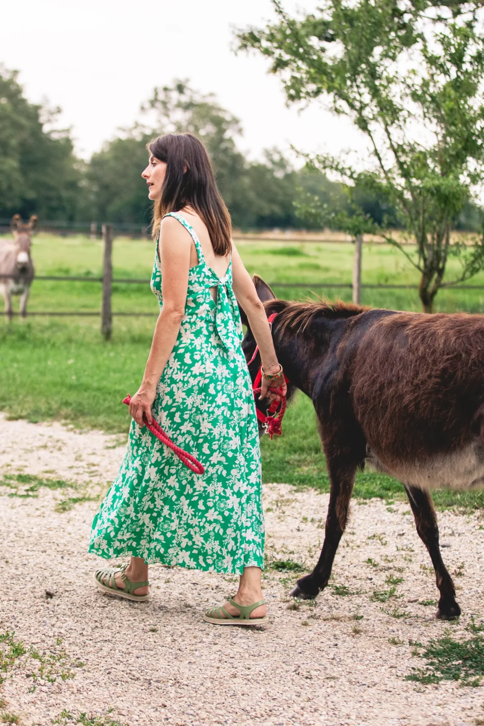 Médiation par l’animal | Céline Weltert