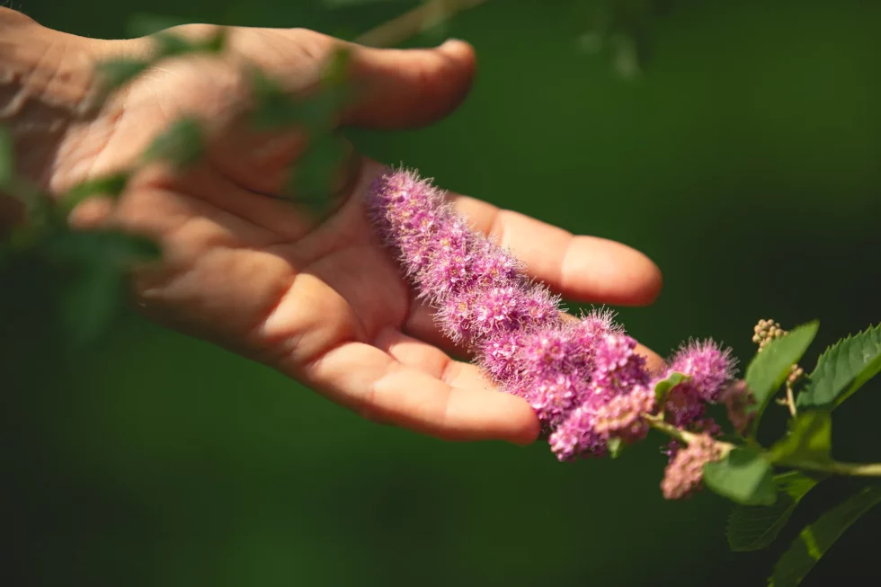 Médiation par l’animal | Céline Weltert