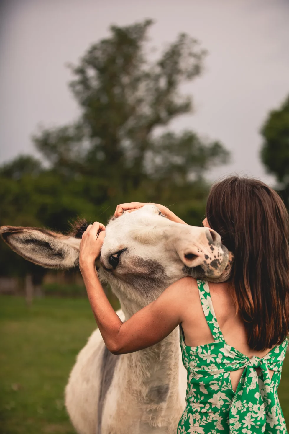 Médiation par l’animal | Céline Weltert