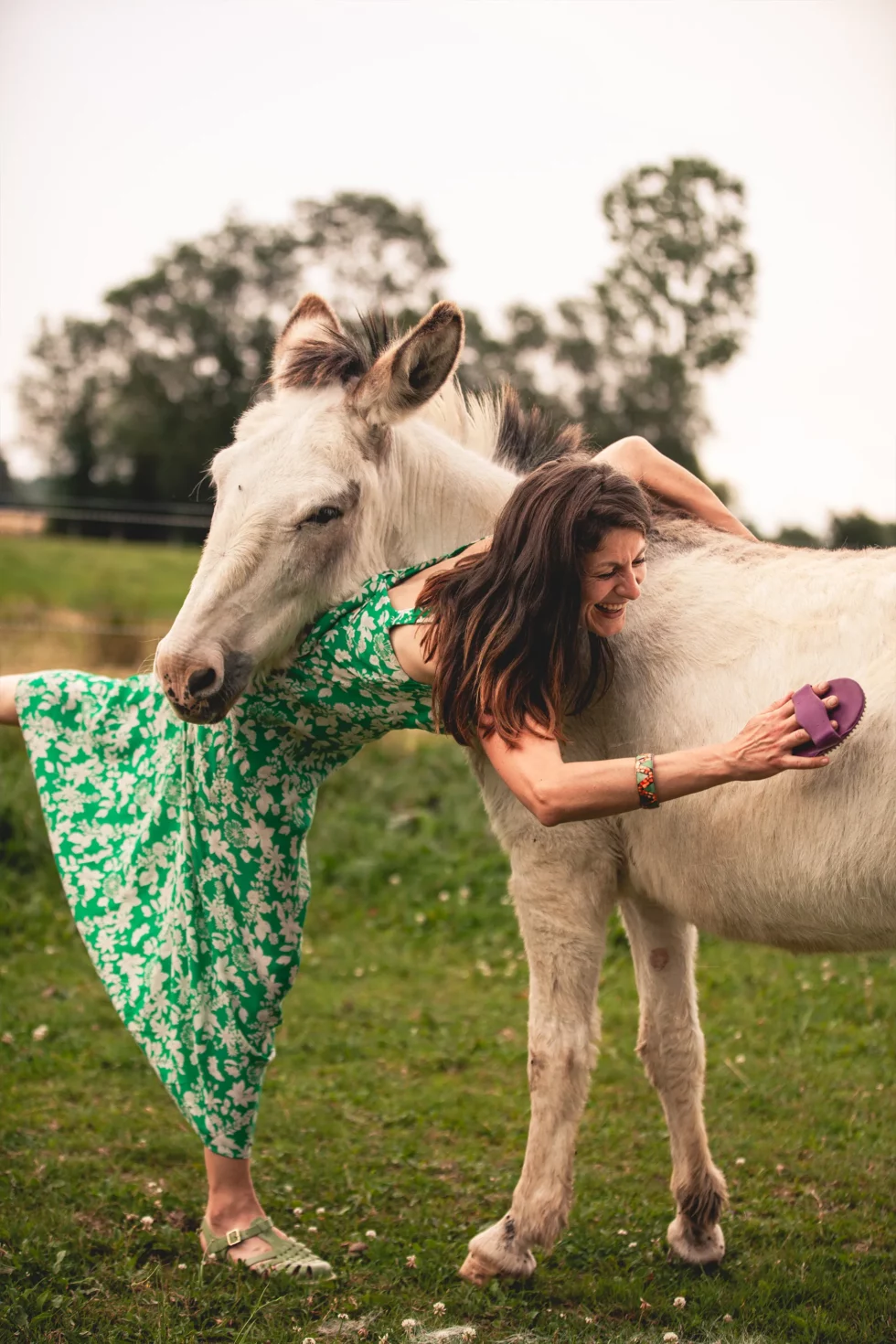 Médiation par l’animal | Céline Weltert