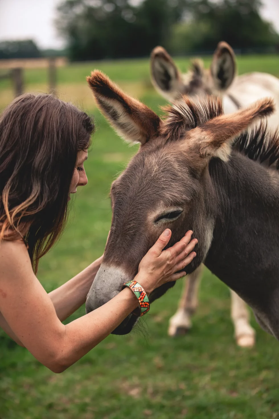 Médiation par l’animal | Céline Weltert