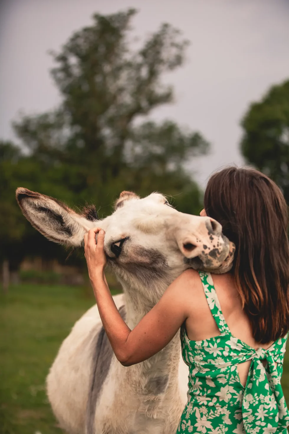 Médiation par l’animal | Céline Weltert