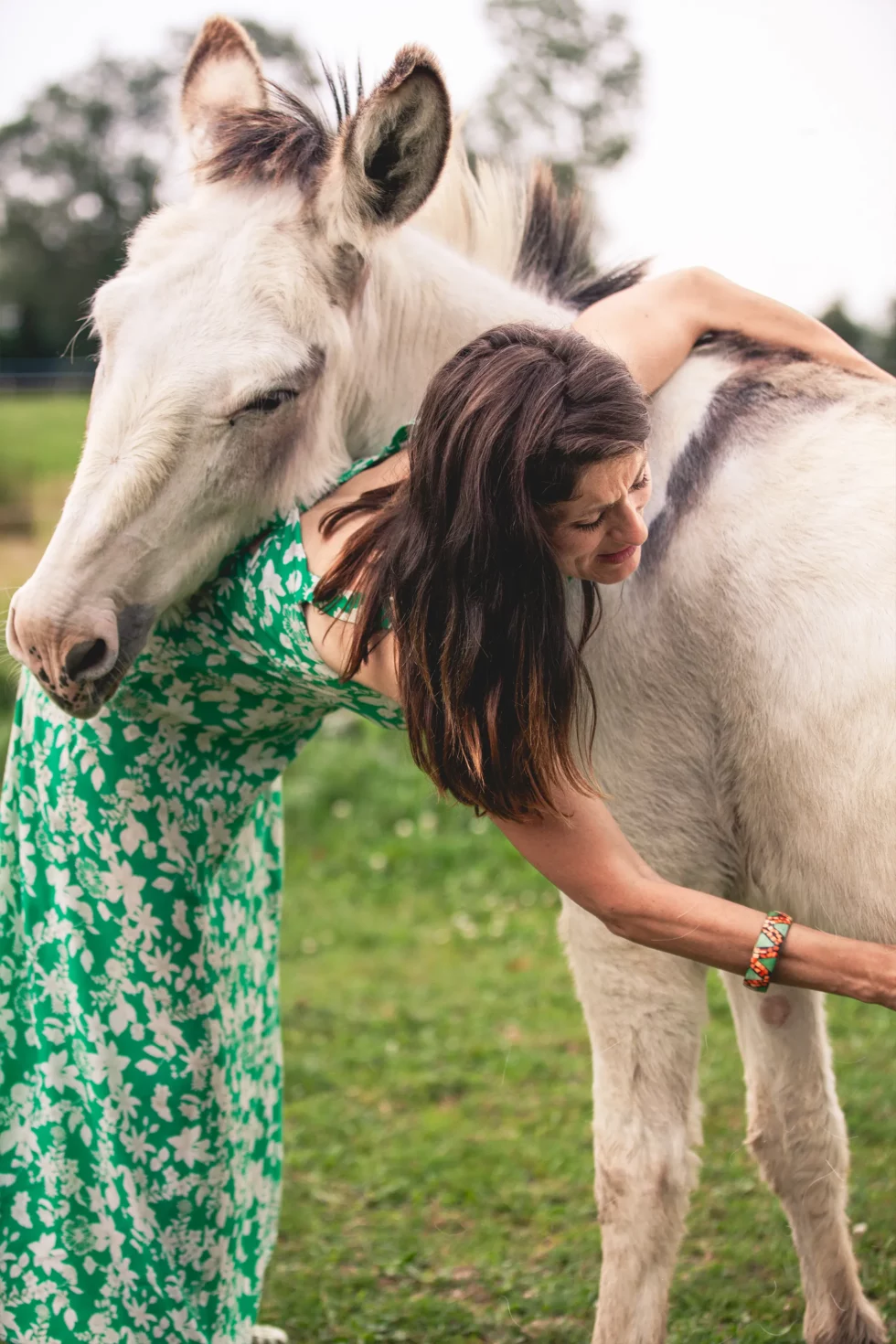 Médiation par l’animal | Céline Weltert