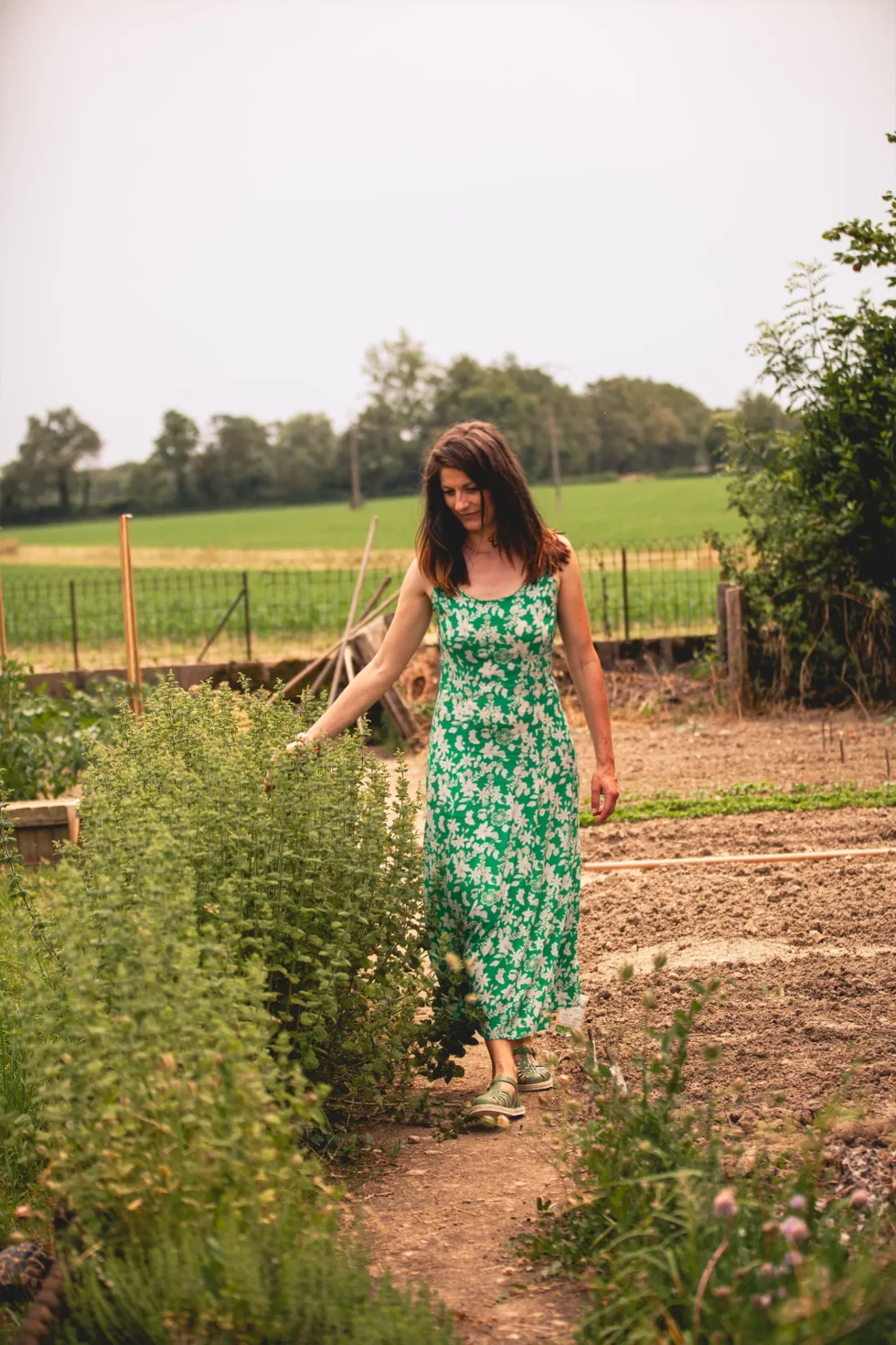 Médiation par l’animal | Céline Weltert