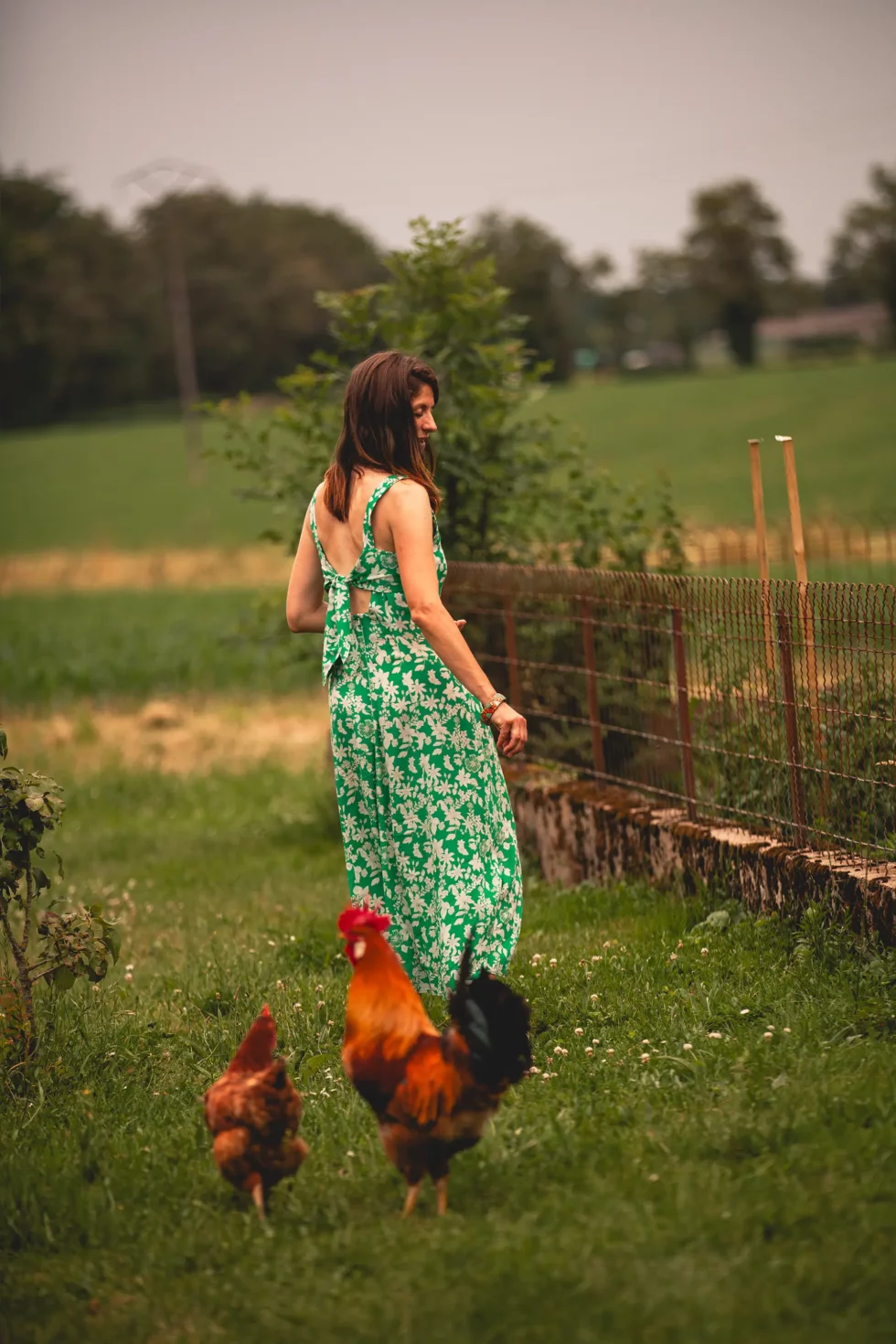 Médiation par l’animal | Céline Weltert