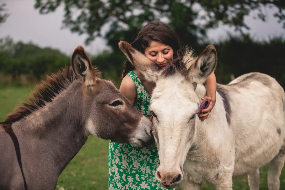 Médiation par l’animal | Céline Weltert