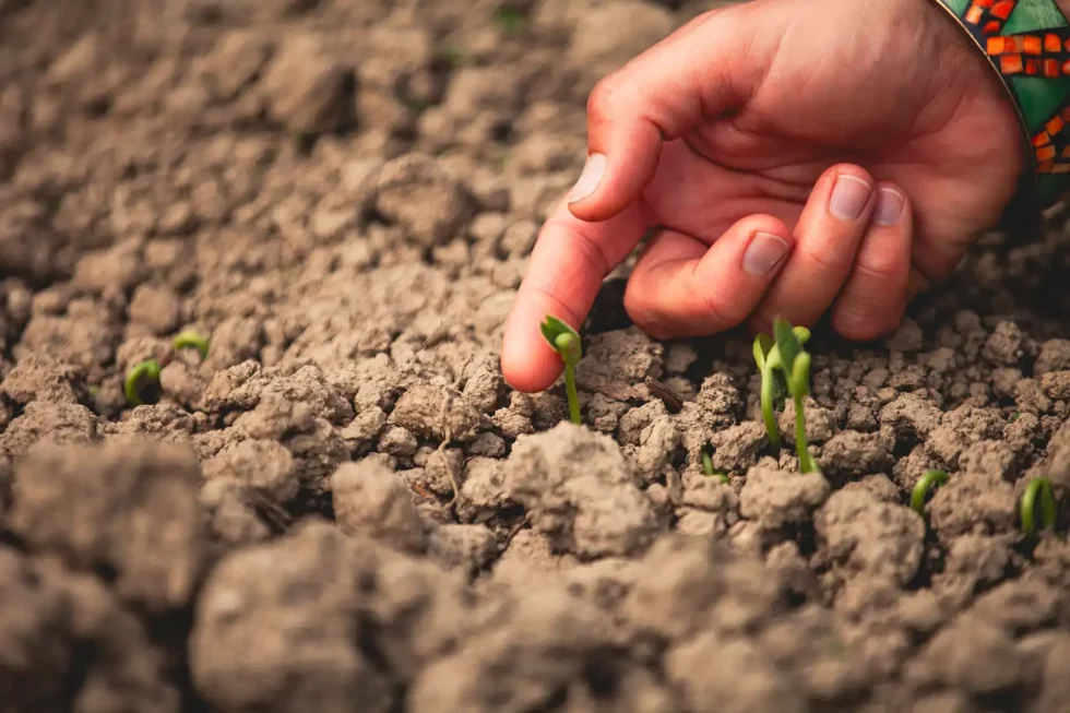 Médiation par l’animal | Céline Weltert